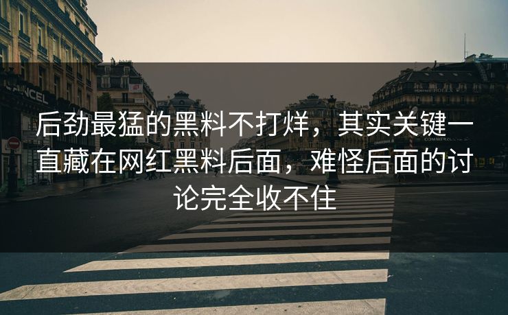 后劲最猛的黑料不打烊，其实关键一直藏在网红黑料后面，难怪后面的讨论完全收不住  第1张