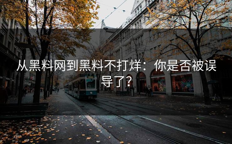 从黑料网到黑料不打烊：你是否被误导了？  第1张