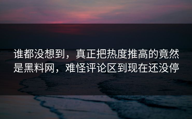 谁都没想到，真正把热度推高的竟然是黑料网，难怪评论区到现在还没停