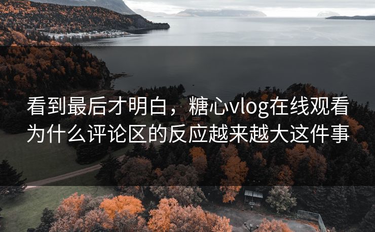 看到最后才明白，糖心vlog在线观看为什么评论区的反应越来越大这件事  第1张